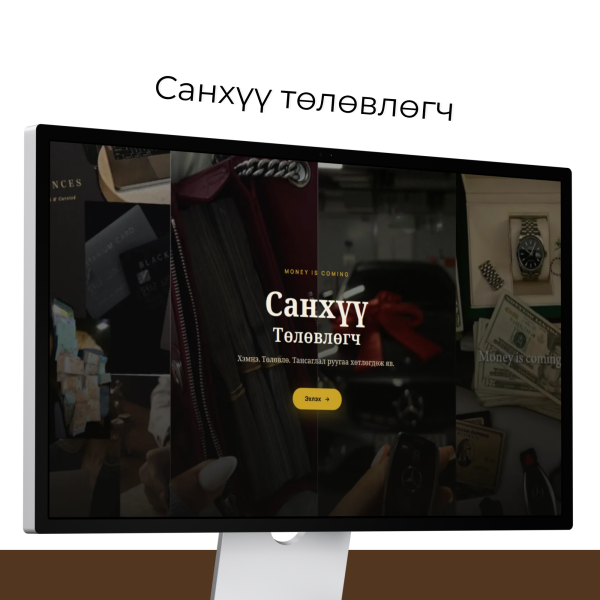 Санхүү-төлөвлөгч